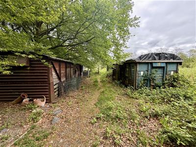 Picture 20